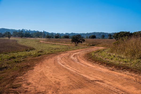 Dirt Driveway Repair in Panama City