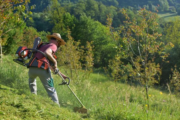 Cost of Slope Trimming in Panama City