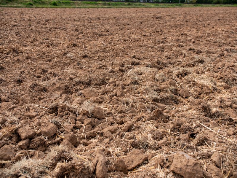 Final Land Preparation